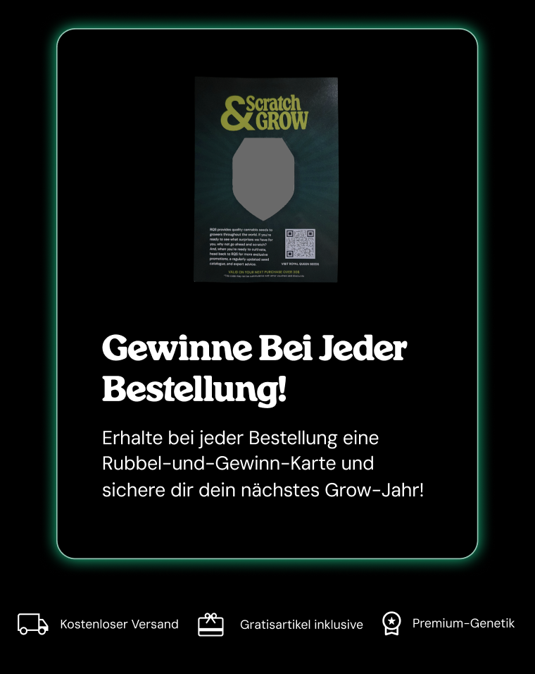 Scratch card DE mob-4